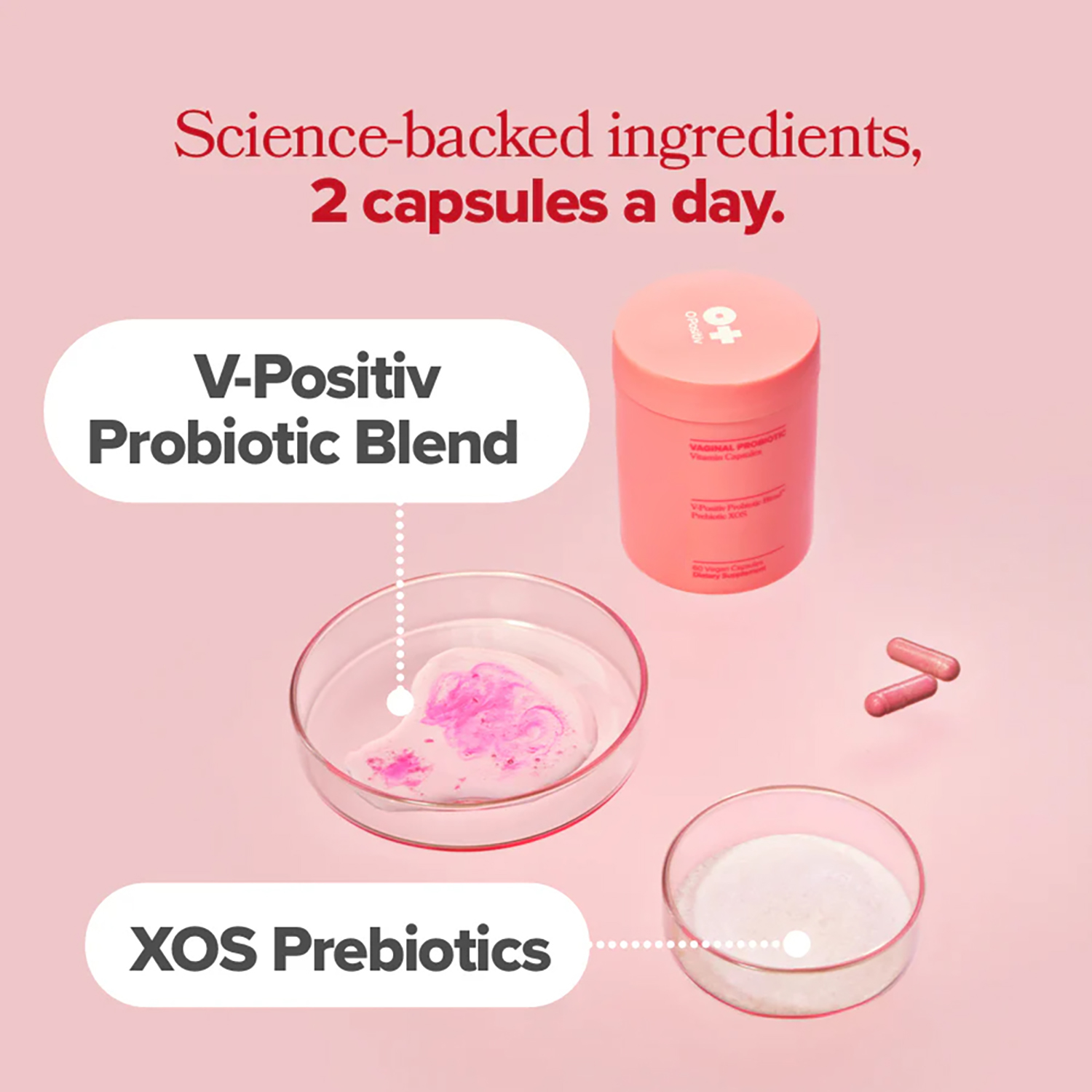 Vagianl Probiotics for Women p - Probiotics Women Health review and price