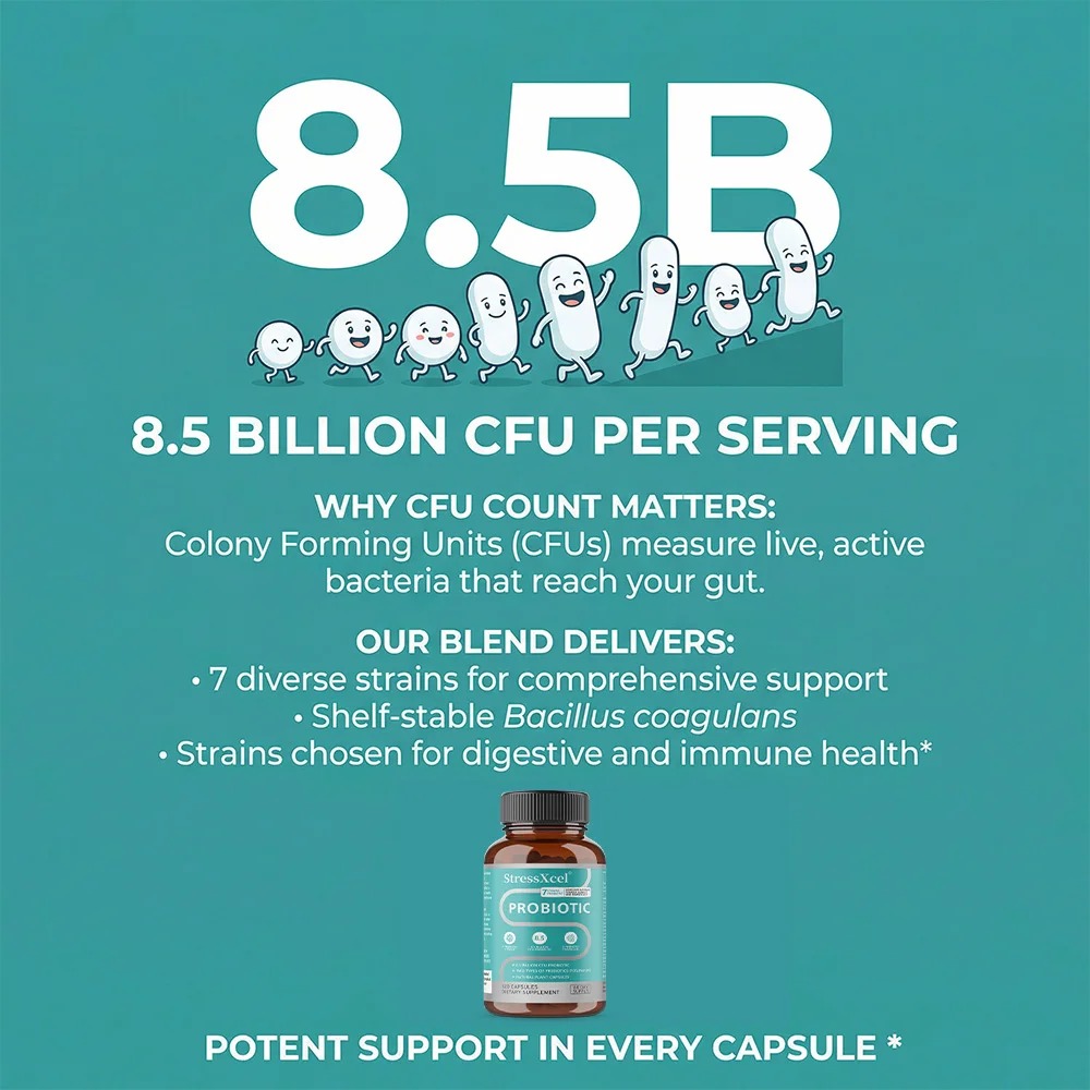 Probiotics 8.5 Billion CFUs -  - Probiotics Women Health review and price